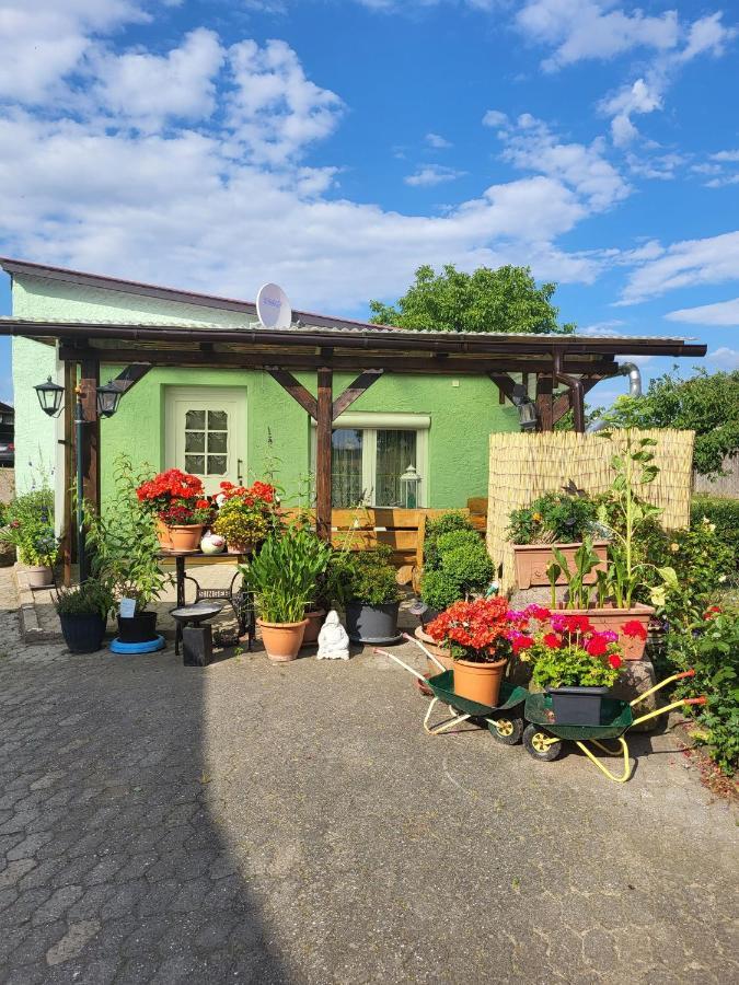 Ferienwohnung Bauerngarten Klein Vielen Extérieur photo
